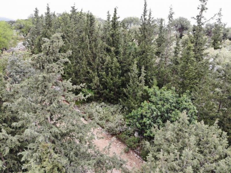 Patima Kreta, Patima: Erstklassiges Baugrundstück mit Meer- und Bergblick nahe Georgioupoli zu verkaufen Grundstück kaufen